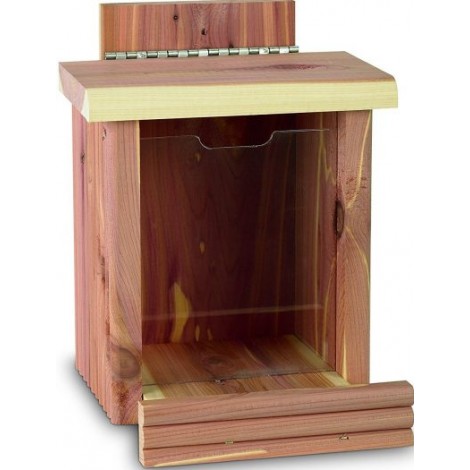 9. Pennington Cedar