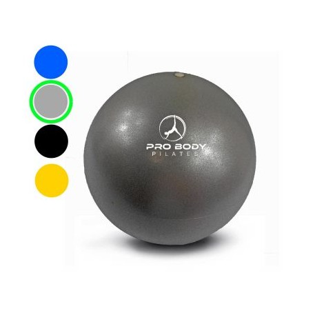 10. Pro Body Pilates Mini