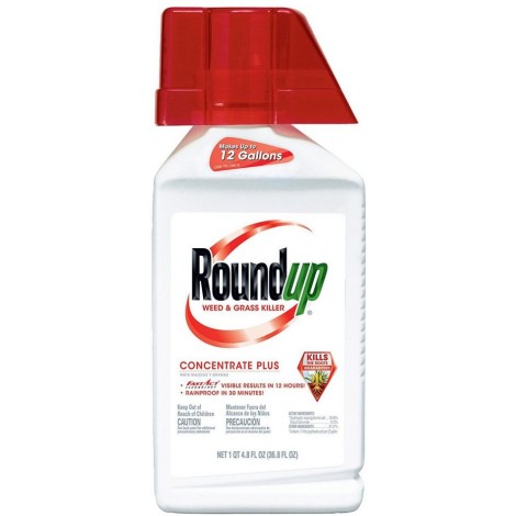  Roundup