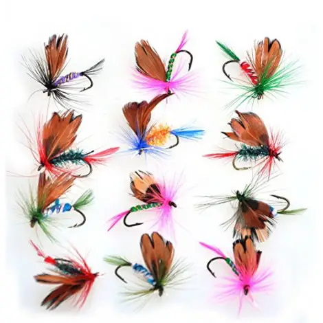 4. Piscifun 12pcs