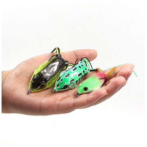 8. Croch Hollow