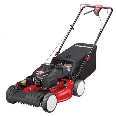  Troy-Bilt TB220