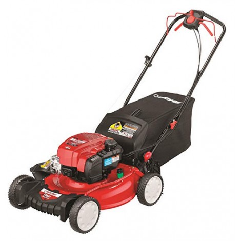 Troy-Bilt TB330
