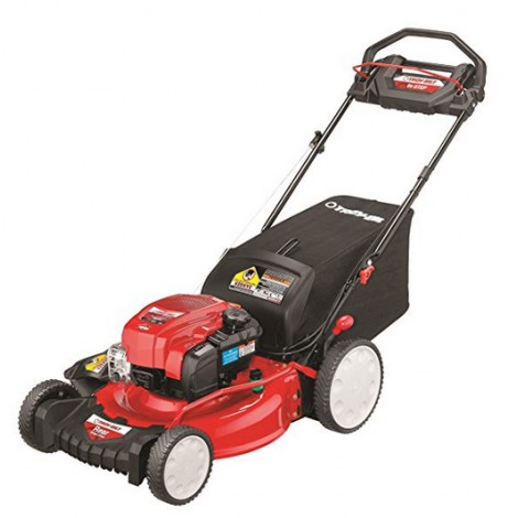 Troy-Bilt TB370