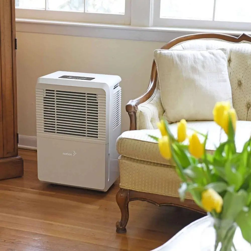 10 Best Dehumidifiers Reviewed in 2022 TheGearHunt