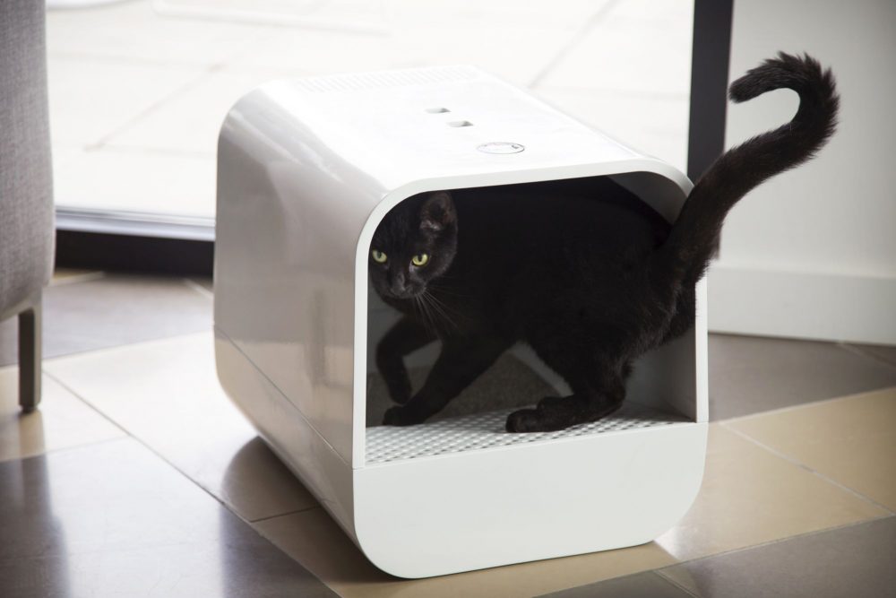 Best Cat Litter Boxes Reviewed & Rated in 2021 (Top 10) TheGearHunt