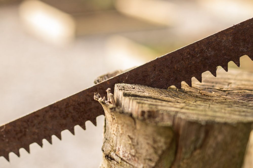 10 Best Saws Reviewed & Rated in 2024 TheGearHunt
