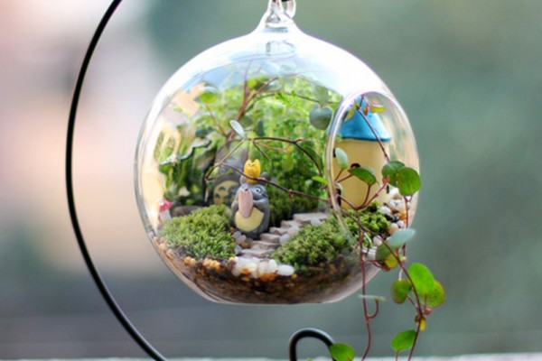 An in-depth review of the best terrariums 