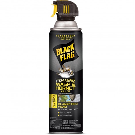 Black Flag Foaming