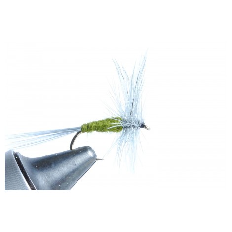Blue Winged Olive