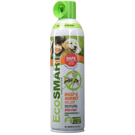 Ecosmart