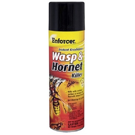Enforcer Wasp Spray