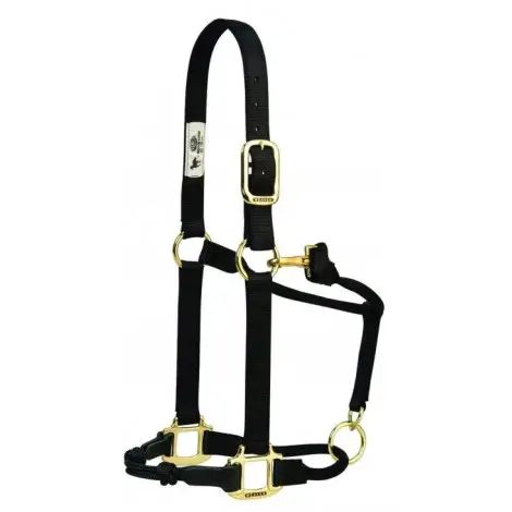 7. HYBRIDHalter Adjustable