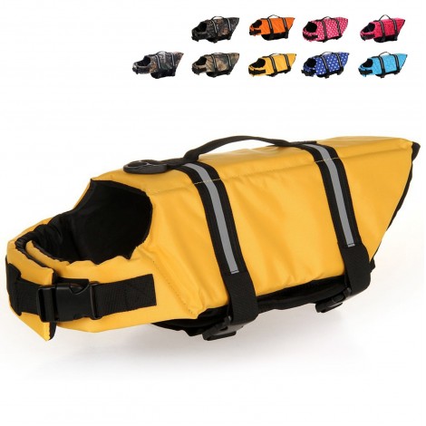 10 Best Dog Life Jackets Reviewed in 2022 | TheGearHunt