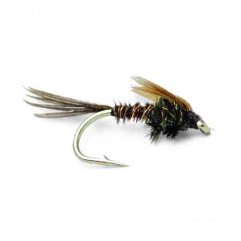 Pheasant Tail Nymph