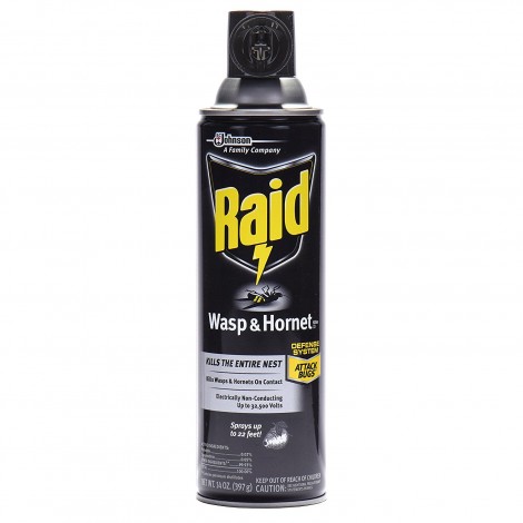 Raid Wasp Spray