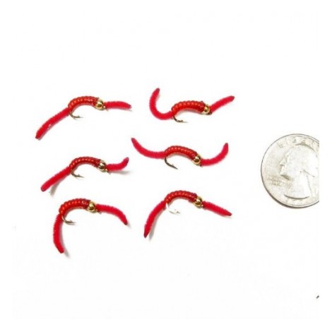 San Juan Worm