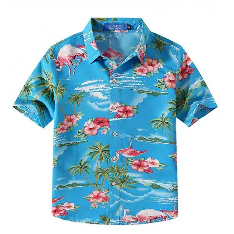 9. SSLR Big Boy's Hawaiian