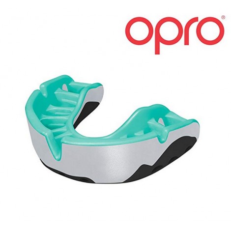 10. OPRO