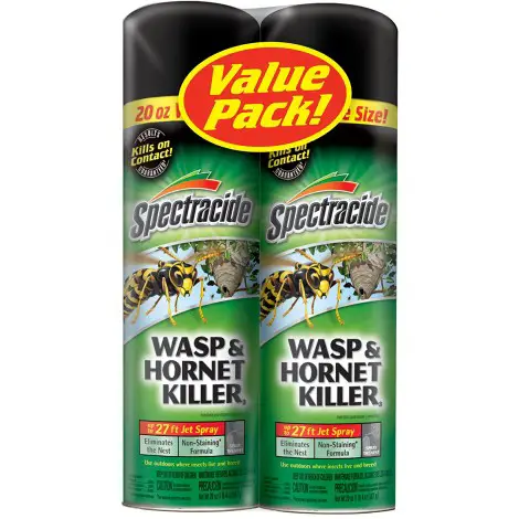 10 Best Wasp Sprays Reviewed in 2024 | TheGearHunt