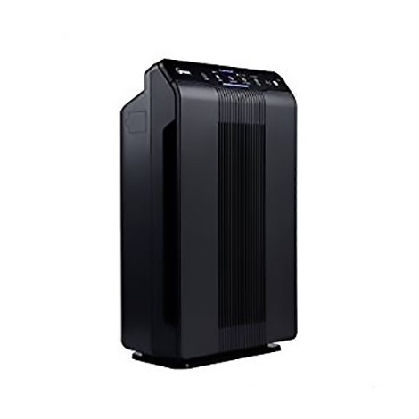 8. Winix 5500-2