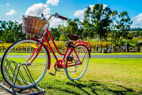 An In Depth Review of the Best Bike Baskets of 2019