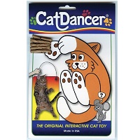 Dancer 101
