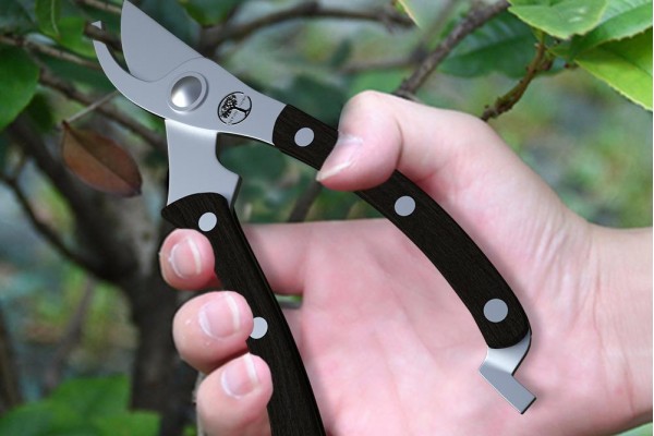 An in-depth review of the best pruners in 2019