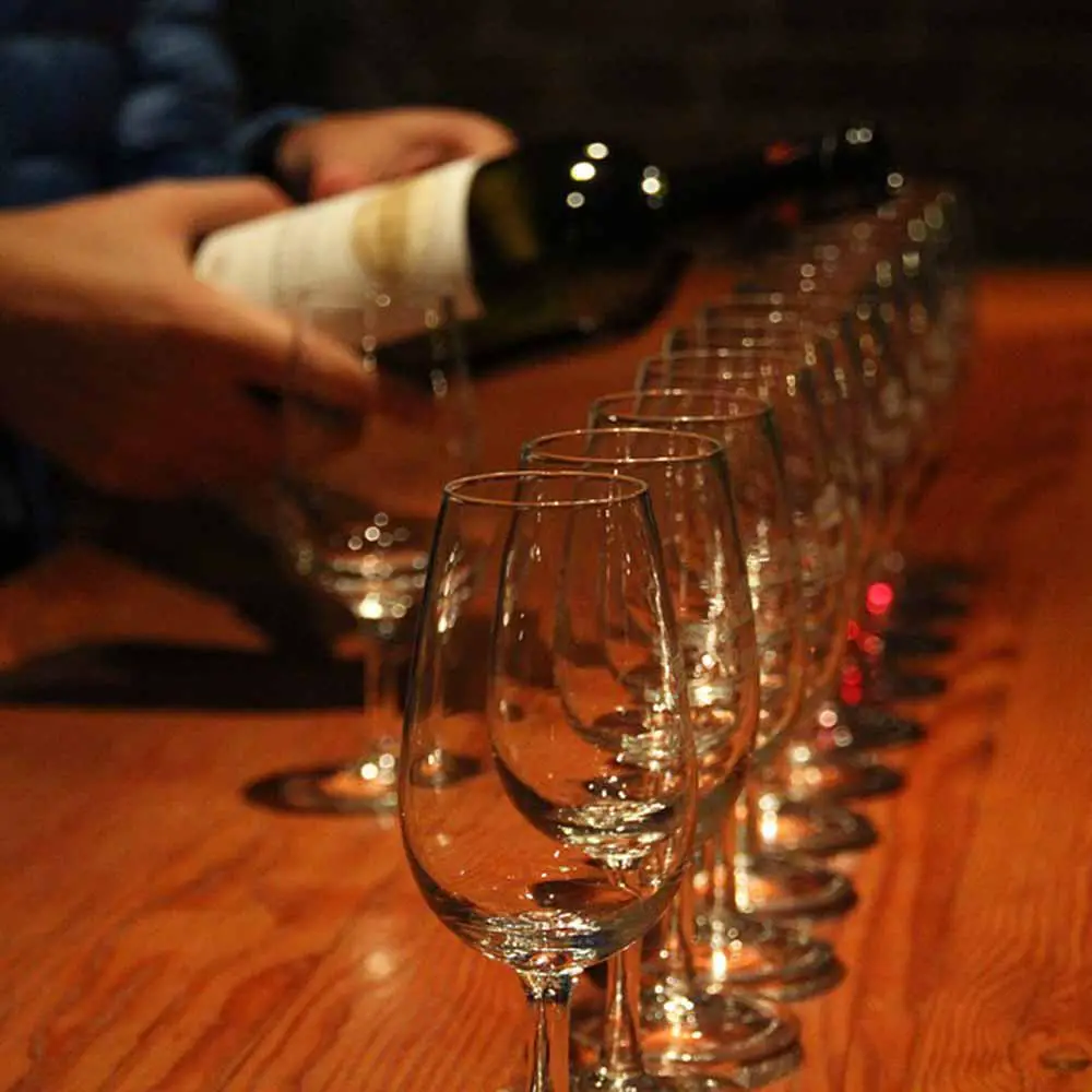 10 Best Wine Glasses Reviewed in 2024 TheGearHunt