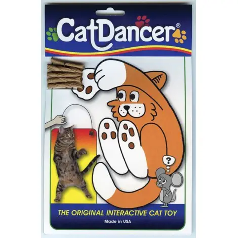 3. Dancer 101