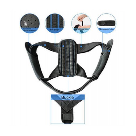 10 Best Posture Trainers Reviewed in 2024 | TheGearHunt