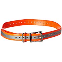 SportDOG Brand 3/4 Inch