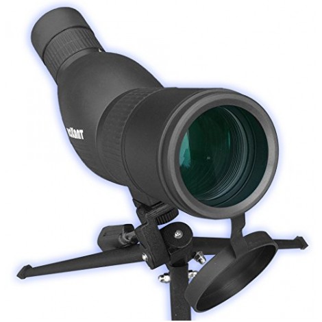 The Roxant Authentic Blackbird HD