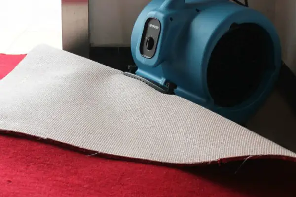 An in-depth review of the best carpet dryers in 2018