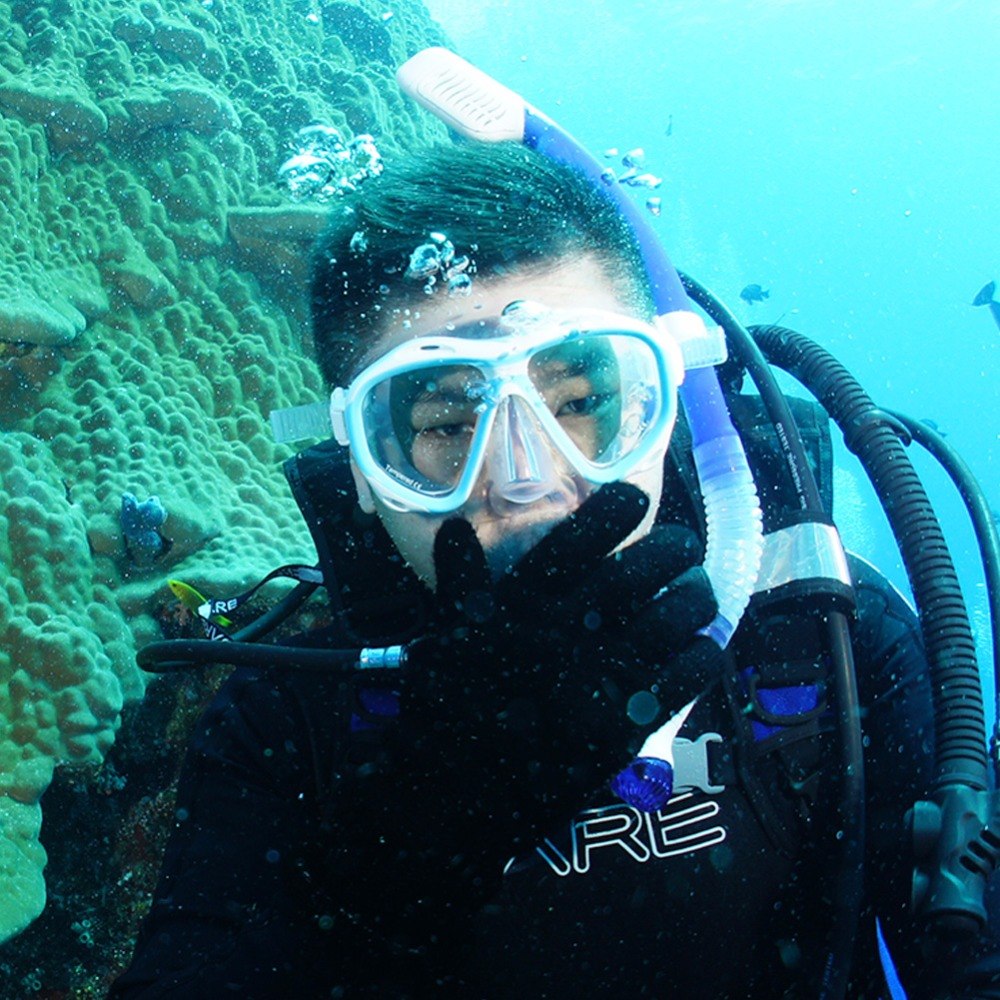 Snorkeling vs. Scuba Diving Which is Right for You? TheGearHunt