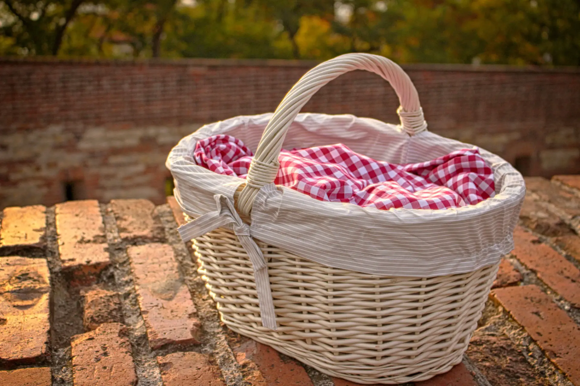 An in-depth review of the best picnic baskets available in 2018.