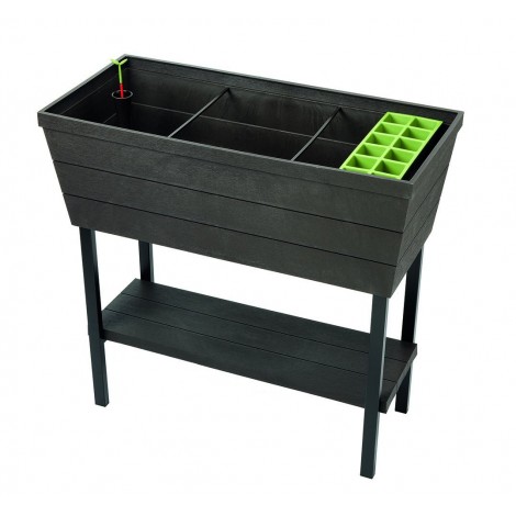 Keter Urban Bloomer