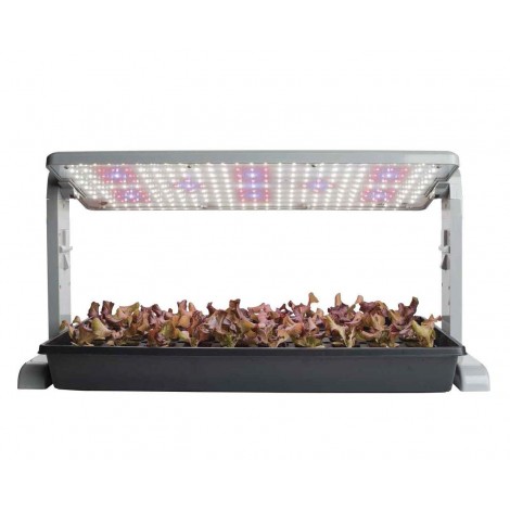 8. Root Farm 45W
