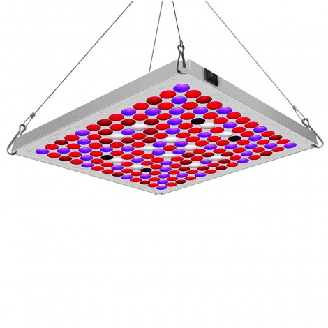 1. Toplanet 75w Full Spectrum