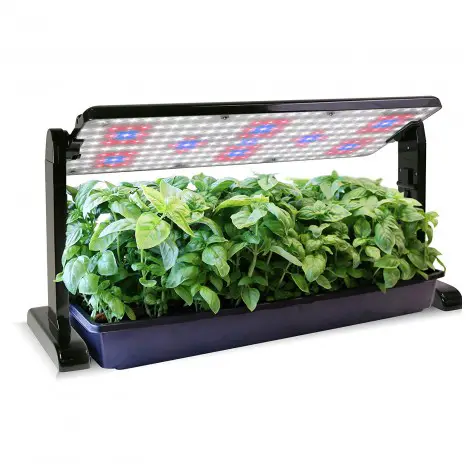 6. AeroGarden