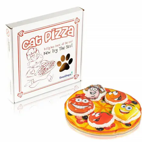 Easyology Interactive Pizza