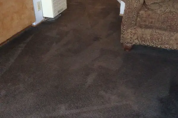 An in-depth review of the best carpet cleaners in 2018