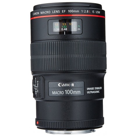 8.  Canon EF 100mm F/2.8L IS USM