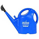 Rainmaker Watering Can