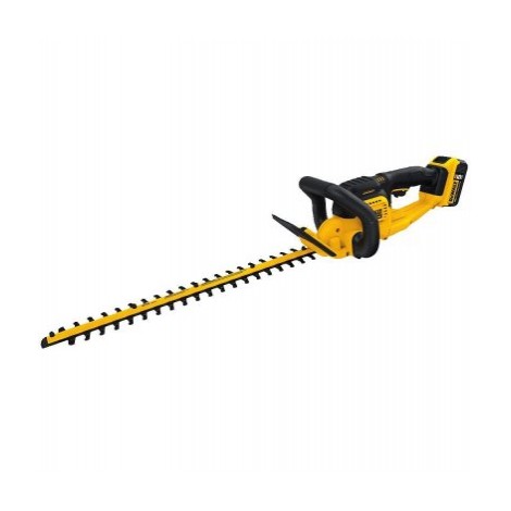 DEWALT DCHT820P1