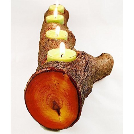 Full Log Branch Wood