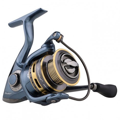  Pflueger President