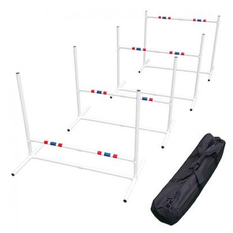 Affordable agility Jump Set