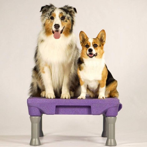 Blue-9 Pet Products - The Klimb