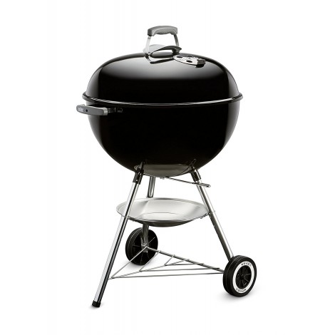 Weber 741001